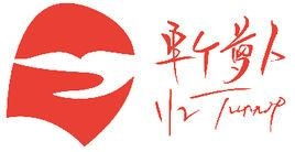 半個蘿卜 北京 營銷顧問